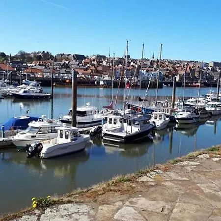 Prázdninový dům Albion - Whitby