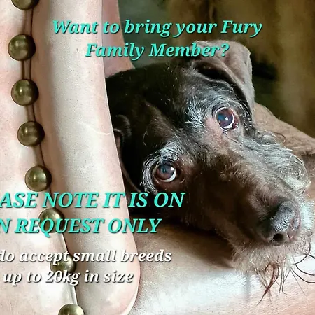 Albion - Holiday home *