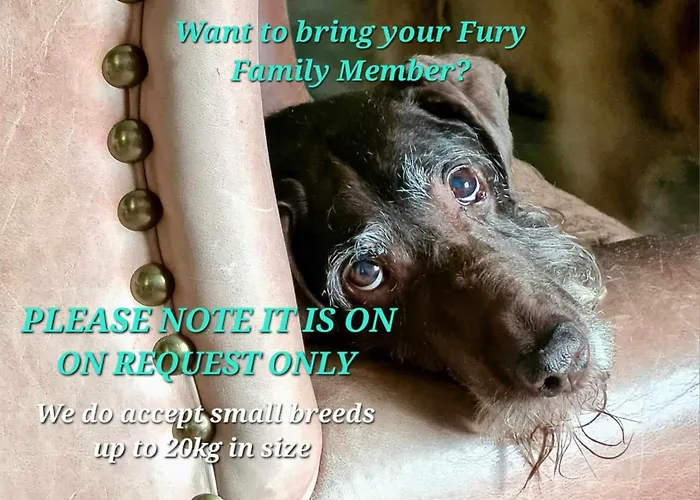 Albion - Semesterbostad *